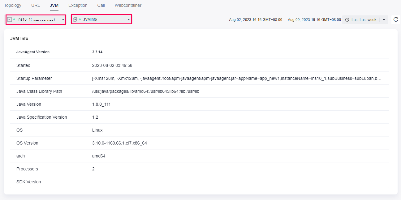 **Figure 4** Viewing JVM information