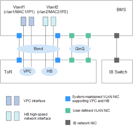 **Figure 1** BMS networks