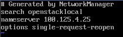 **Figure 1** Adding the DNS server address (Linux)