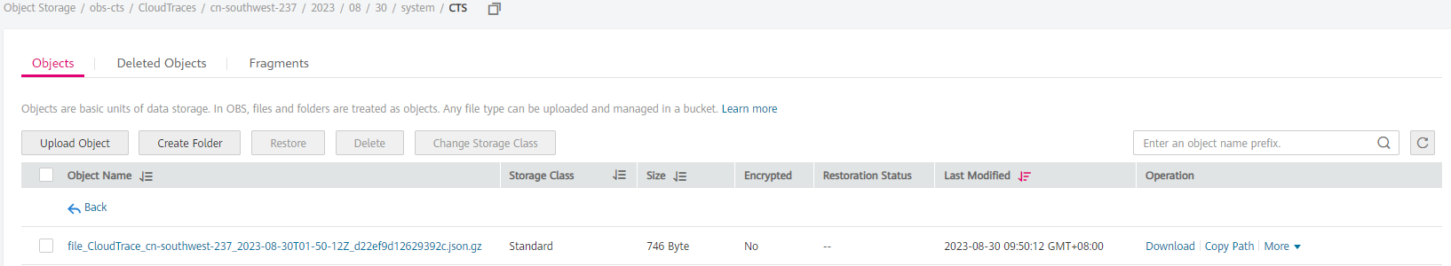 **Figure 2** Viewing trace file content