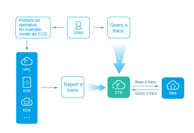 **Figure 1** CTS service diagram