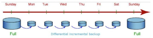 **Figure 1** Snapshot backup process