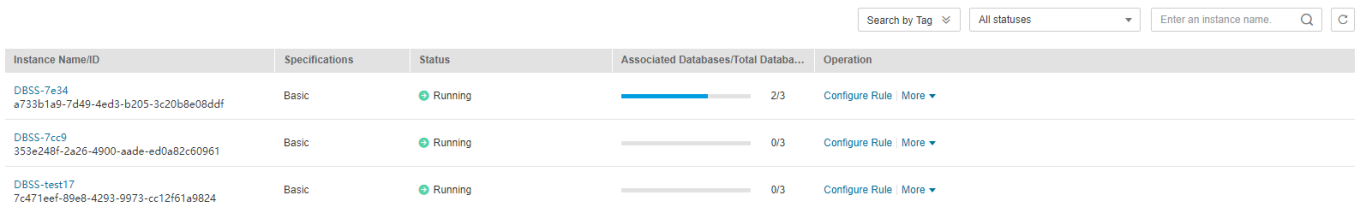 **Figure 1** Viewing database audit instances