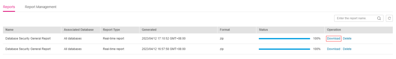 **Figure 5** Previewing or downloading an audit report