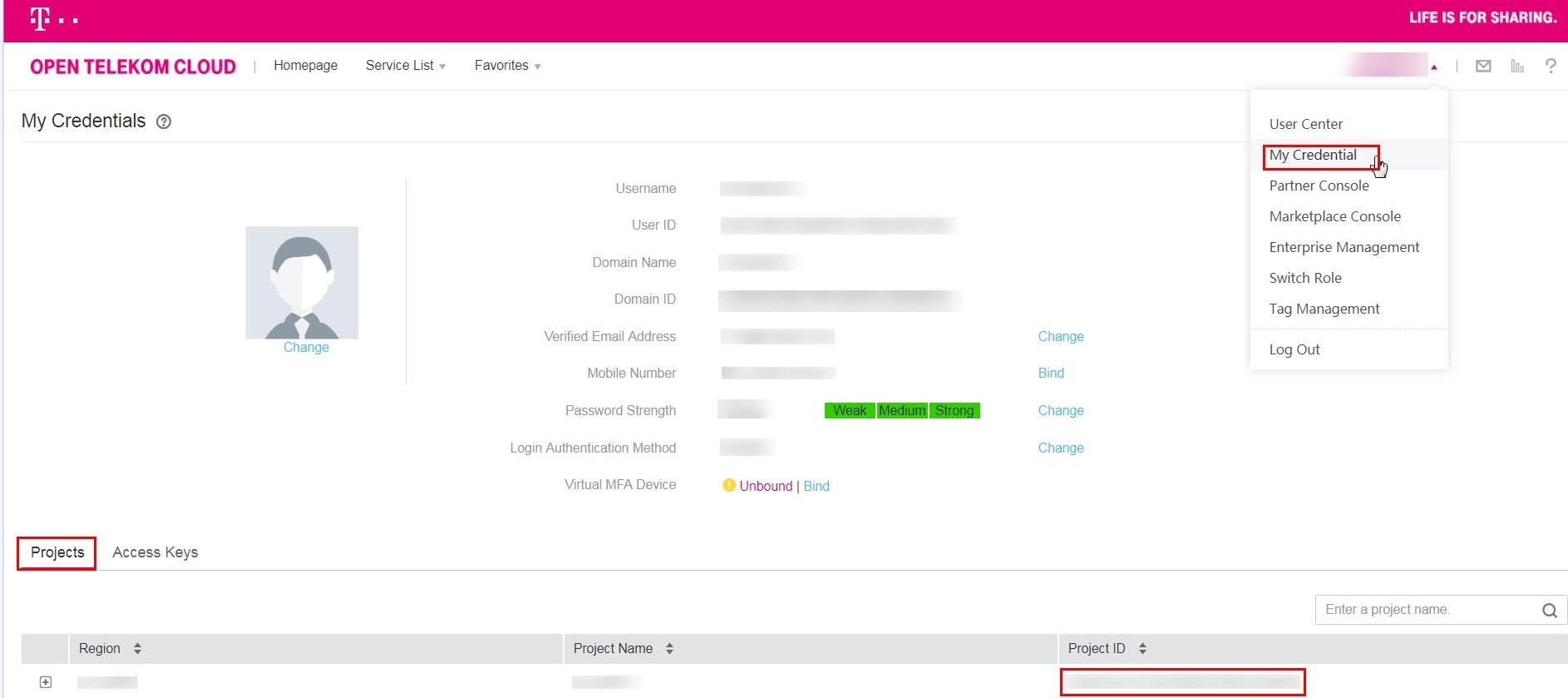 **Figure 1** Viewing project IDs