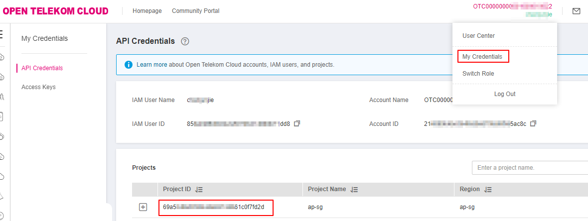 **Figure 1** Viewing a project ID