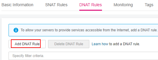 **Figure 3** Public NAT gateway details