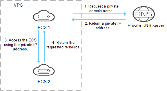 **Figure 1** Process for resolving a private domain name