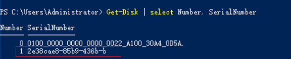 **Figure 4** Querying the mapping between the disk ID and serial number