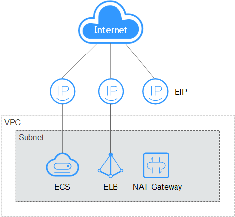**Figure 1** Accessing the Internet using an EIP