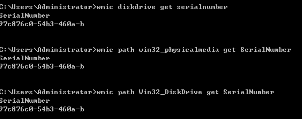 **Figure 1** Obtaining the disk serial number