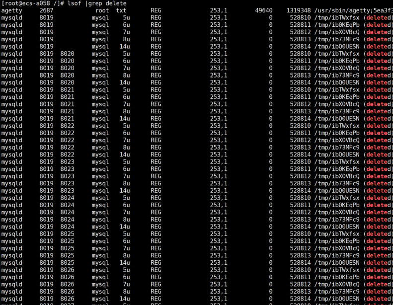 **Figure 3** Checking the deleted process files in the system