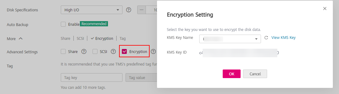 **Figure 2** Encrypted disks