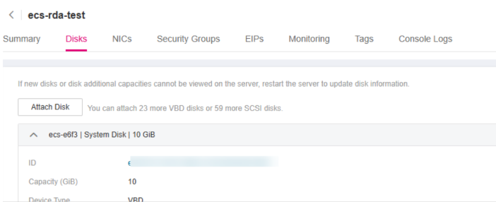 **Figure 3** Viewing the newly attached disk