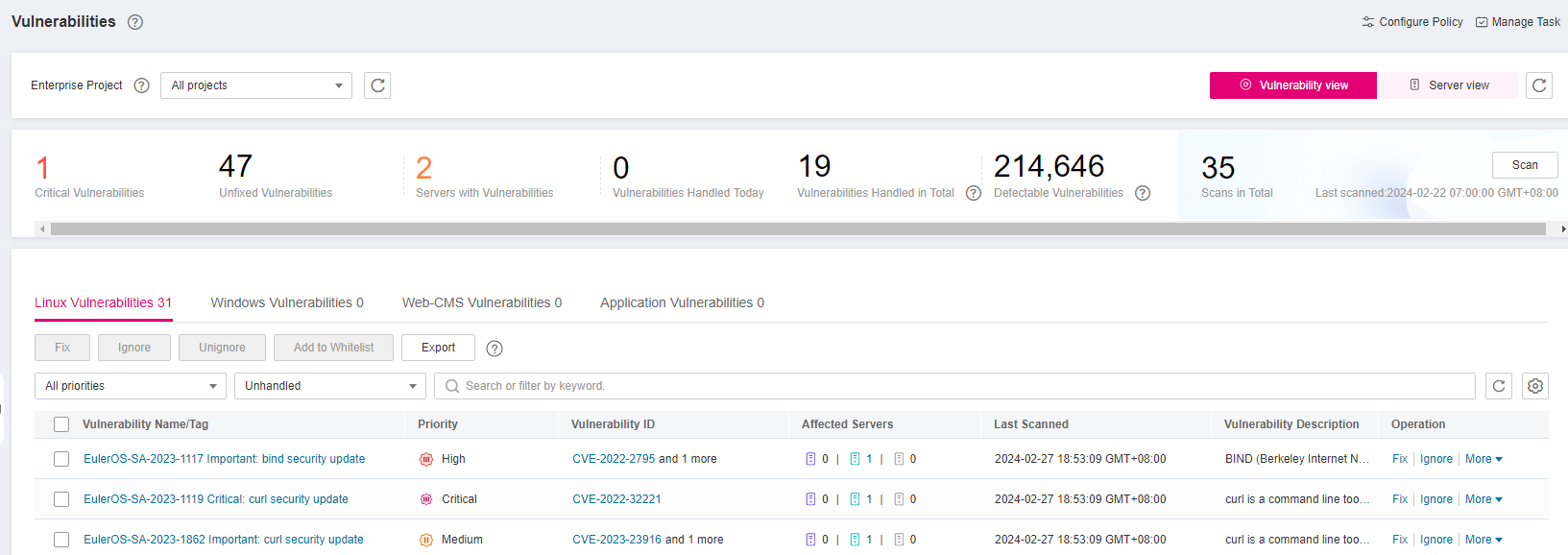 **Figure 1** Viewing vulnerability details