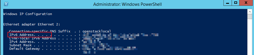 **Figure 1** Querying the IPv6 address