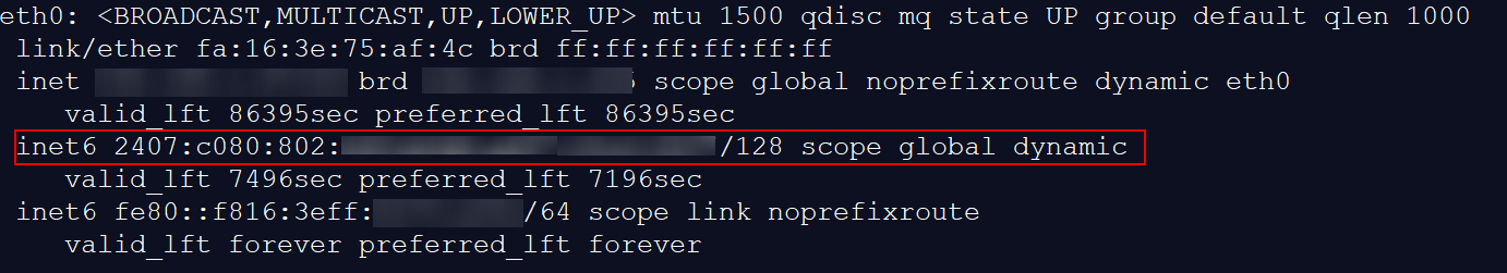 **Figure 9** IPv6 enabled and an IPv6 address assigned