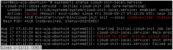 **Figure 2** Checking Cloud-Init status