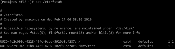 **Figure 1** EVS disk configuration in the **fstab** file