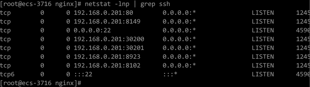 **Figure 2** Open TCP ports