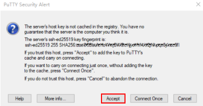 **Figure 6** Asking if you want to accept the instance security certificate