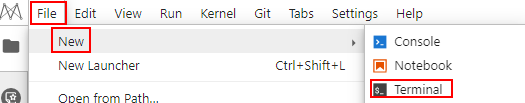 **Figure 2** Opening the terminal