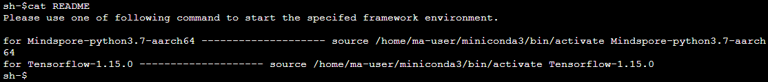 **Figure 1** Output after command execution