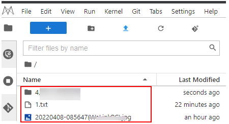 **Figure 3** File downloaded to a notebook instance