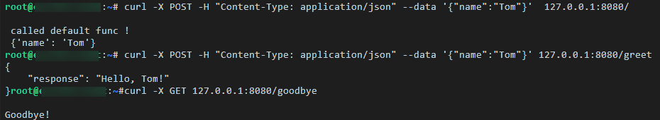 **Figure 2** API function verification