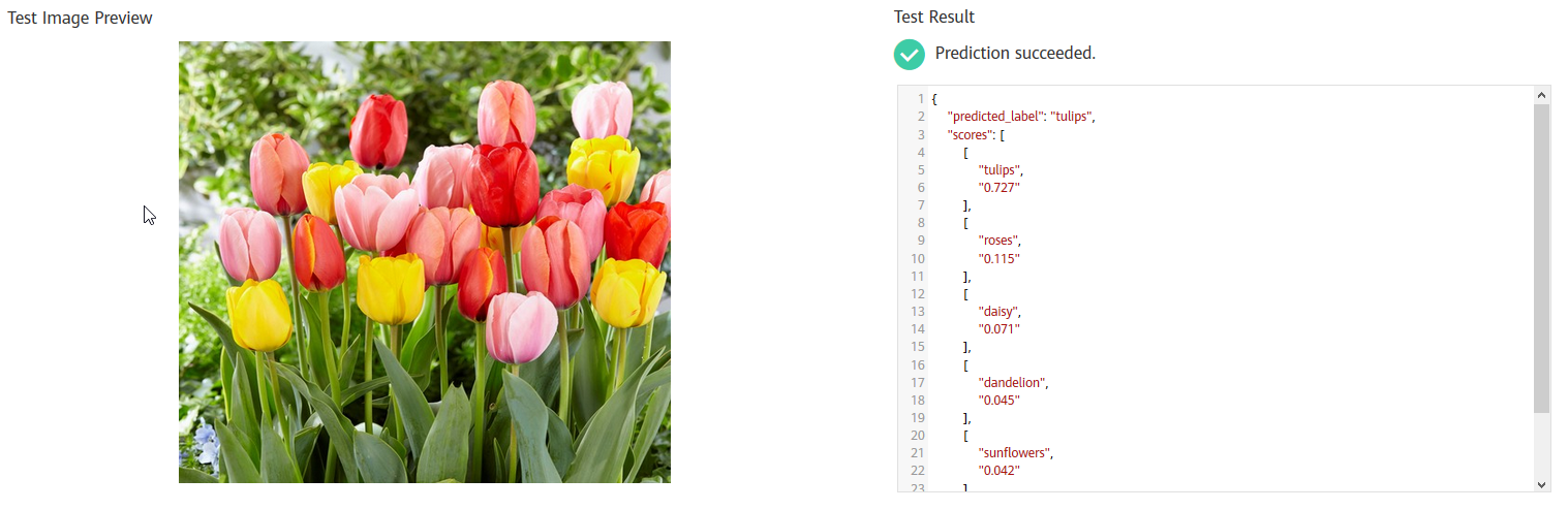 **Figure 3** Image prediction