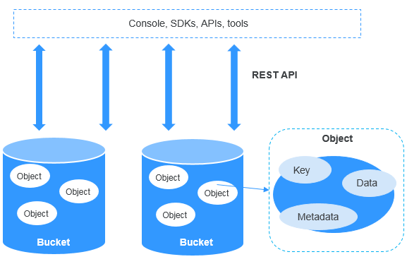 **Figure 1** OBS