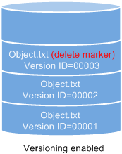 **Figure 3** Object with a delete marker