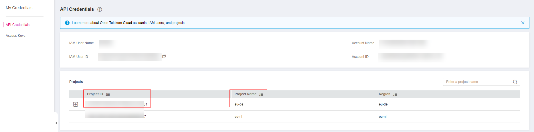 **Figure 1** Viewing the project ID and name