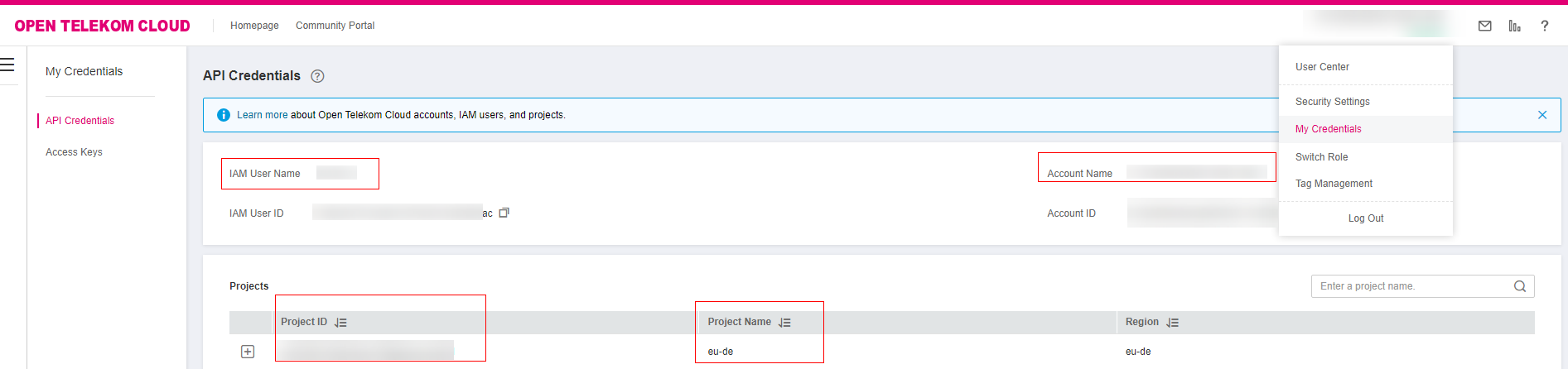 **Figure 1** Obtaining the username, domain name, and project ID