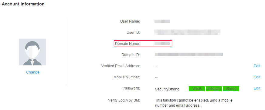 **Figure 2** Domain Name