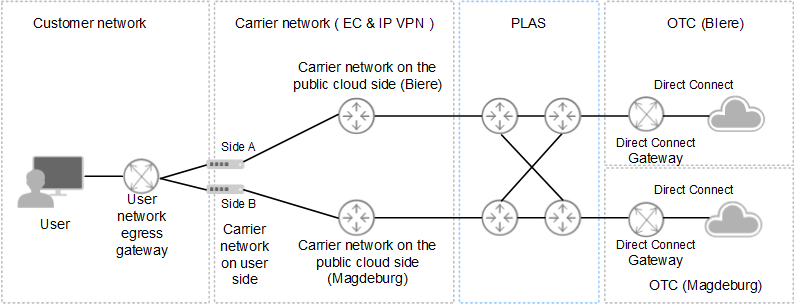 **Figure 1** Physical network of PLAS