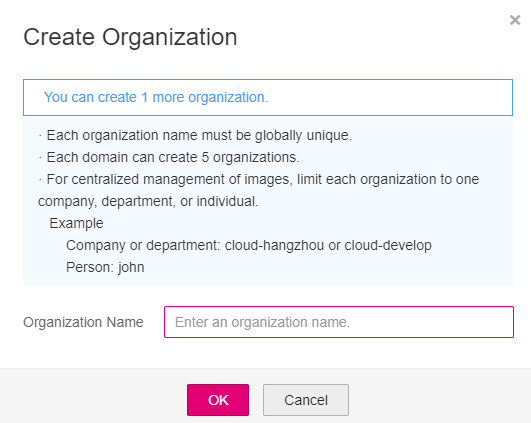 **Figure 2** Creating an Organization