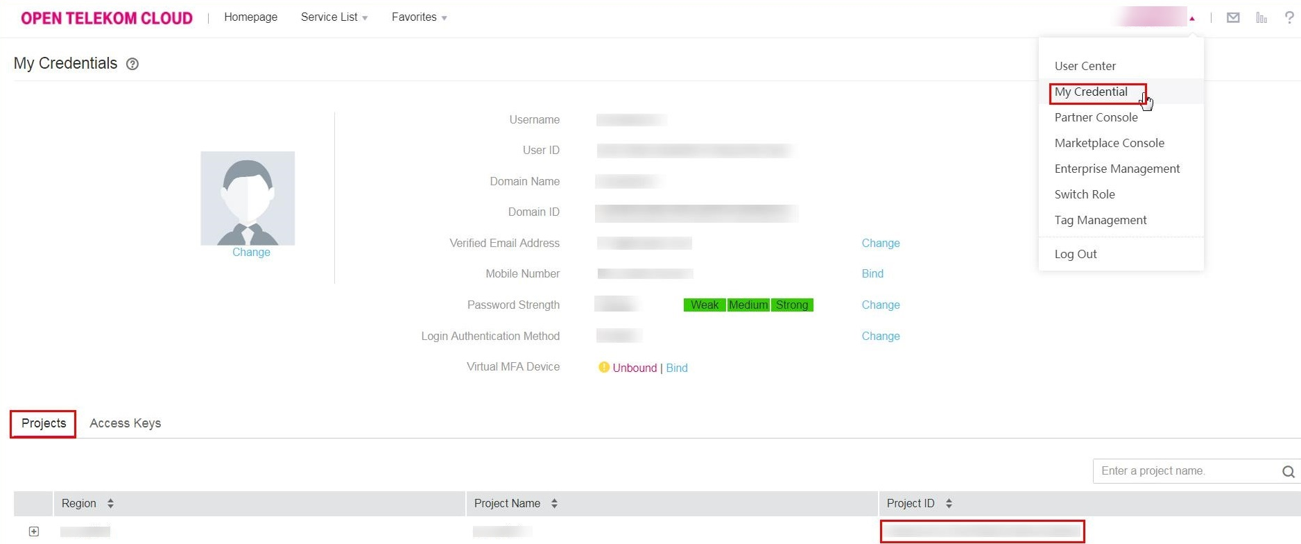 **Figure 1** Viewing project IDs