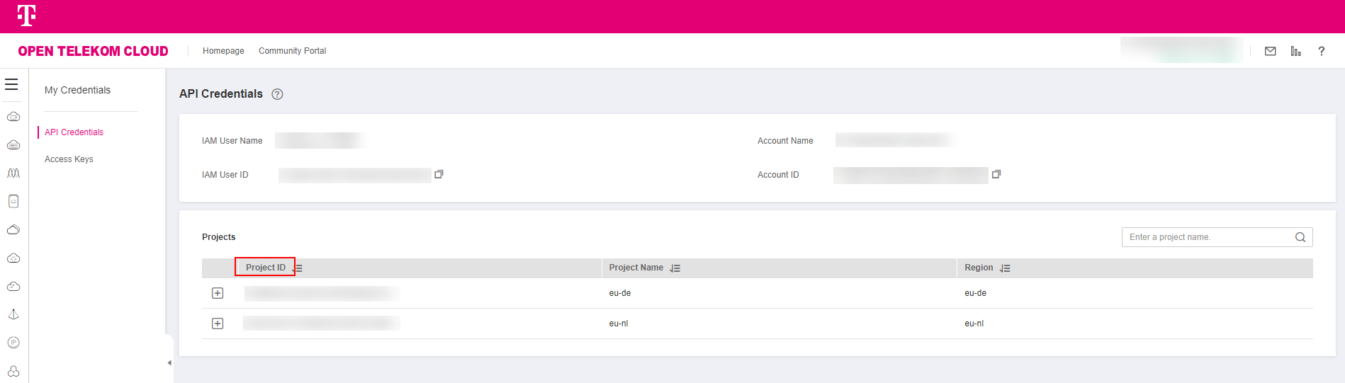 **Figure 1** Viewing project IDs