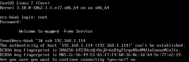 **Figure 3** Logging in to an ECS to access the VPC endpoint